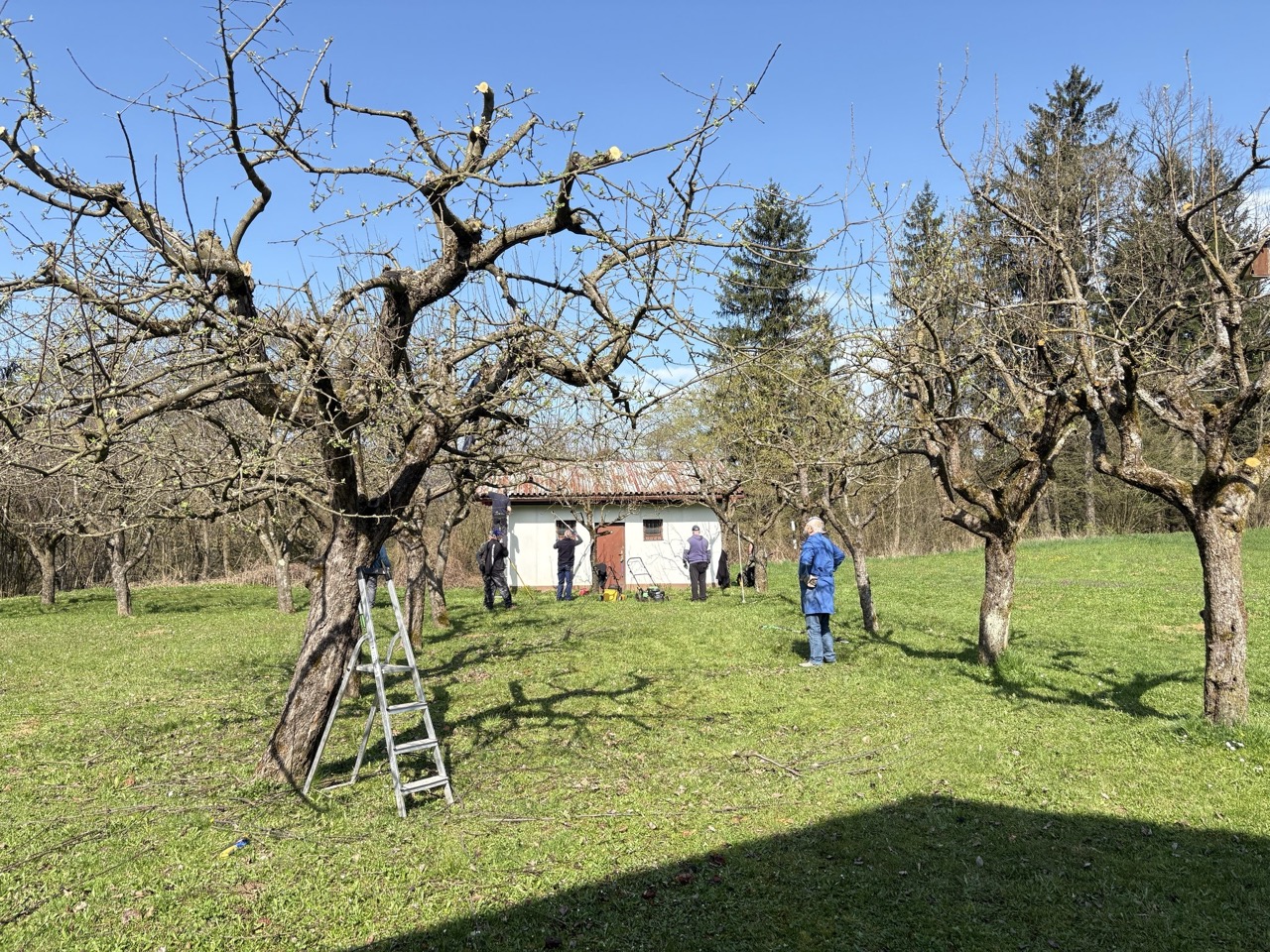 Delovna akcija v CH VIČ